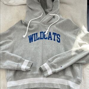 Champion Gray Hoodie with Blue Wildcats Logo